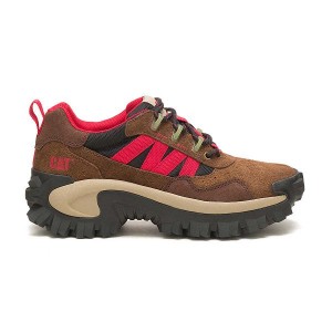 Men's Caterpillar Intruder Beta Sneakers Brown | 417230-VGF