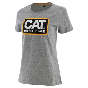 Women's Caterpillar Diesel Power Tee T-Shirt Grey | 346059-WOF