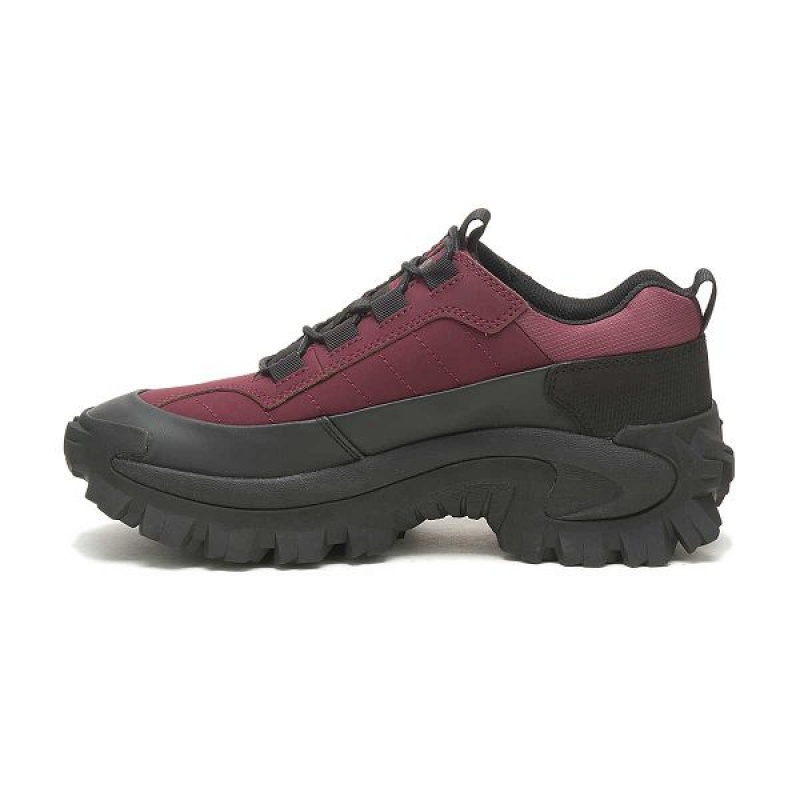 Men's Caterpillar Intruder Waterproof Galosh Sneakers Black / Burgundy | 321846-OBG