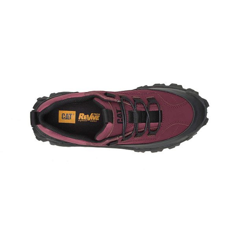 Men's Caterpillar Intruder Waterproof Galosh Sneakers Black / Burgundy | 321846-OBG