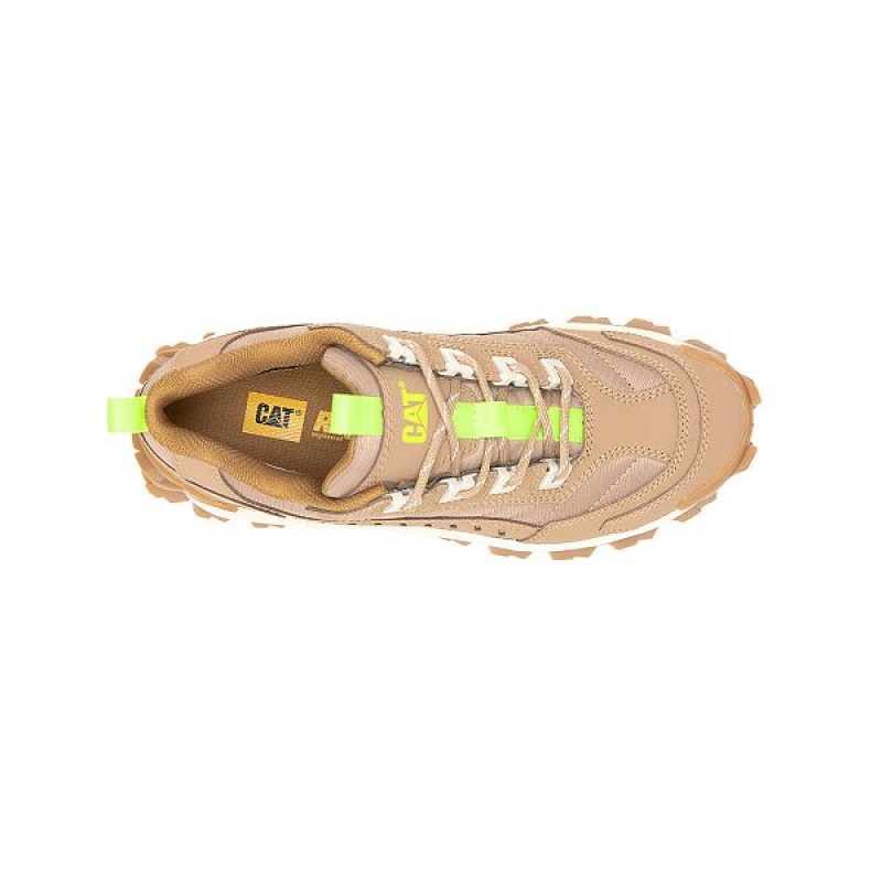 Women's Caterpillar Intruder Sneakers Brown | 153276-MPF